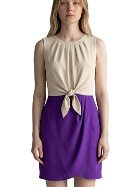 Colorblock Tie Waist Faux Wrap Dress Purple Ivory Size 9 Richard Chai